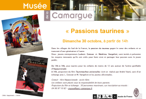 Passions Taurines au Musée de la Camargue